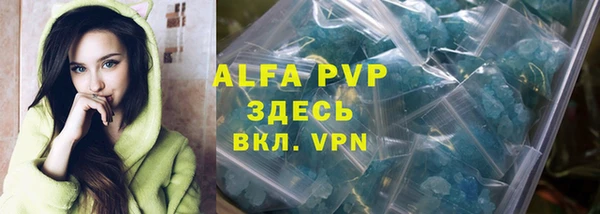 ПСИЛОЦИБИНОВЫЕ ГРИБЫ Дмитров