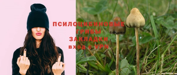 ПСИЛОЦИБИНОВЫЕ ГРИБЫ Дмитров