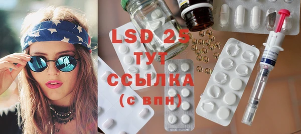 ПСИЛОЦИБИНОВЫЕ ГРИБЫ Дмитров