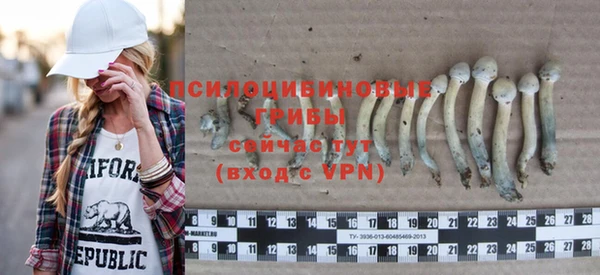 ПСИЛОЦИБИНОВЫЕ ГРИБЫ Дмитров