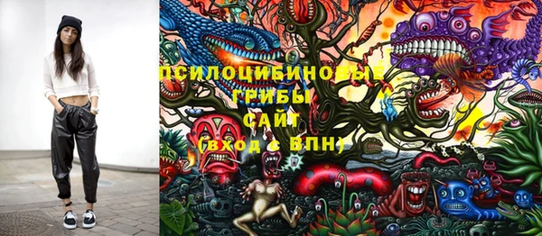 ПСИЛОЦИБИНОВЫЕ ГРИБЫ Дмитров