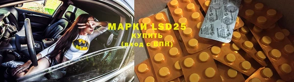 ПСИЛОЦИБИНОВЫЕ ГРИБЫ Дмитров